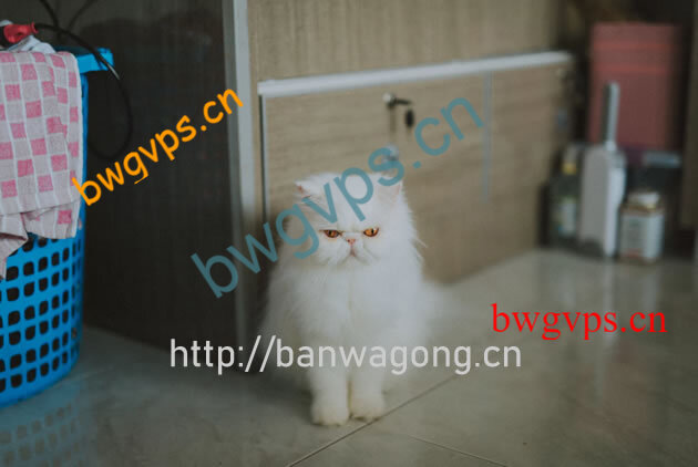 搬瓦工缺货